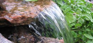 Water Health