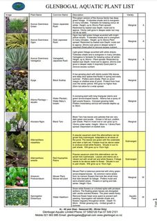 Glenbogal Aquatic Aquatic Plant List