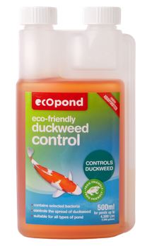 Duckweed Control