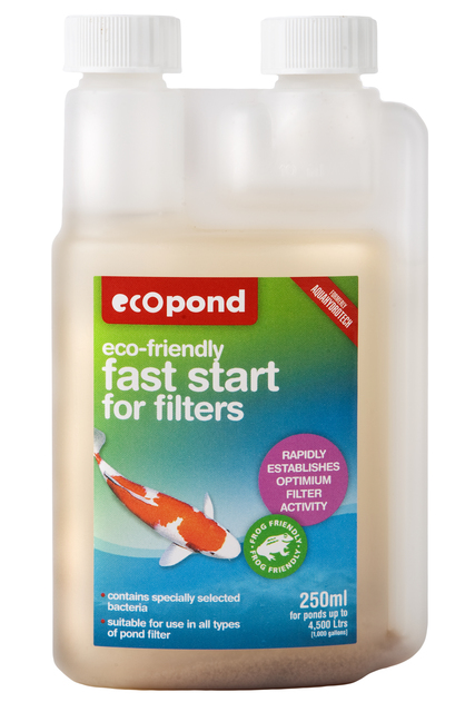 Fast Start for Filters