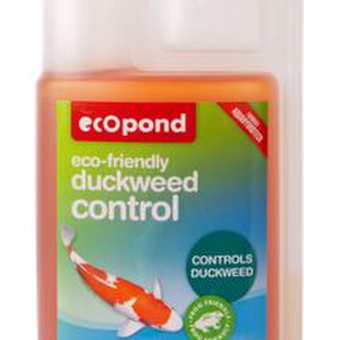 Duckweed Control